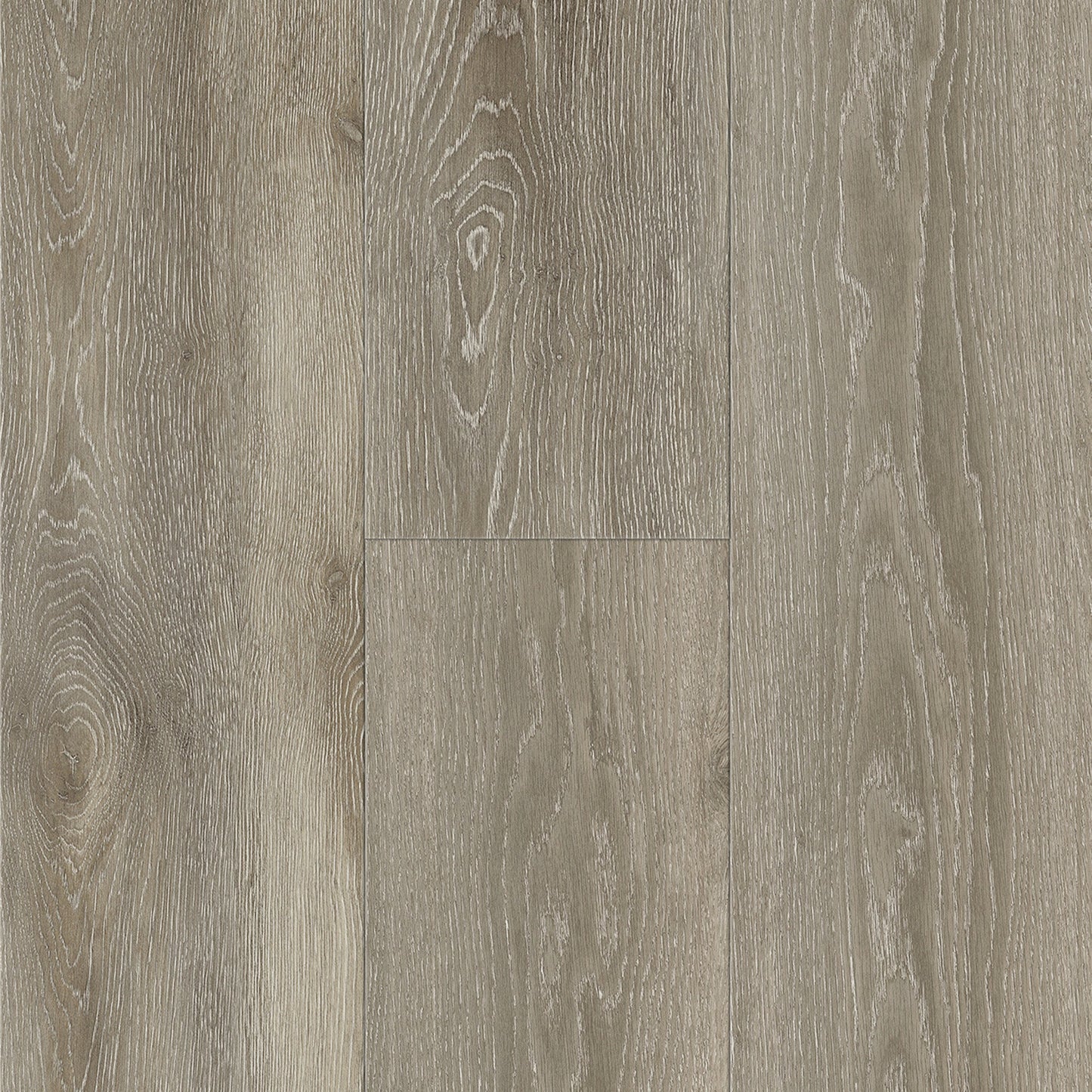 SAMPLE Titan Colossal Augustus 9" - Direct Flooring