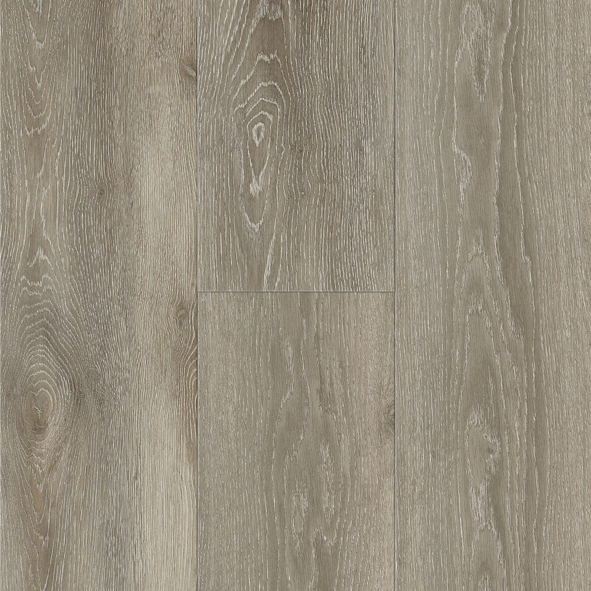 SAMPLE Titan Colossal Augustus 9" - Direct Flooring
