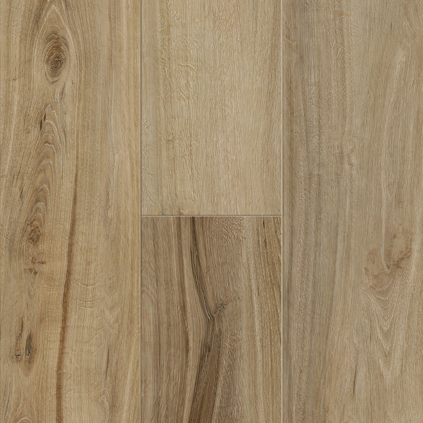 SAMPLE Titan Colossal Tigris 9" - Direct Flooring