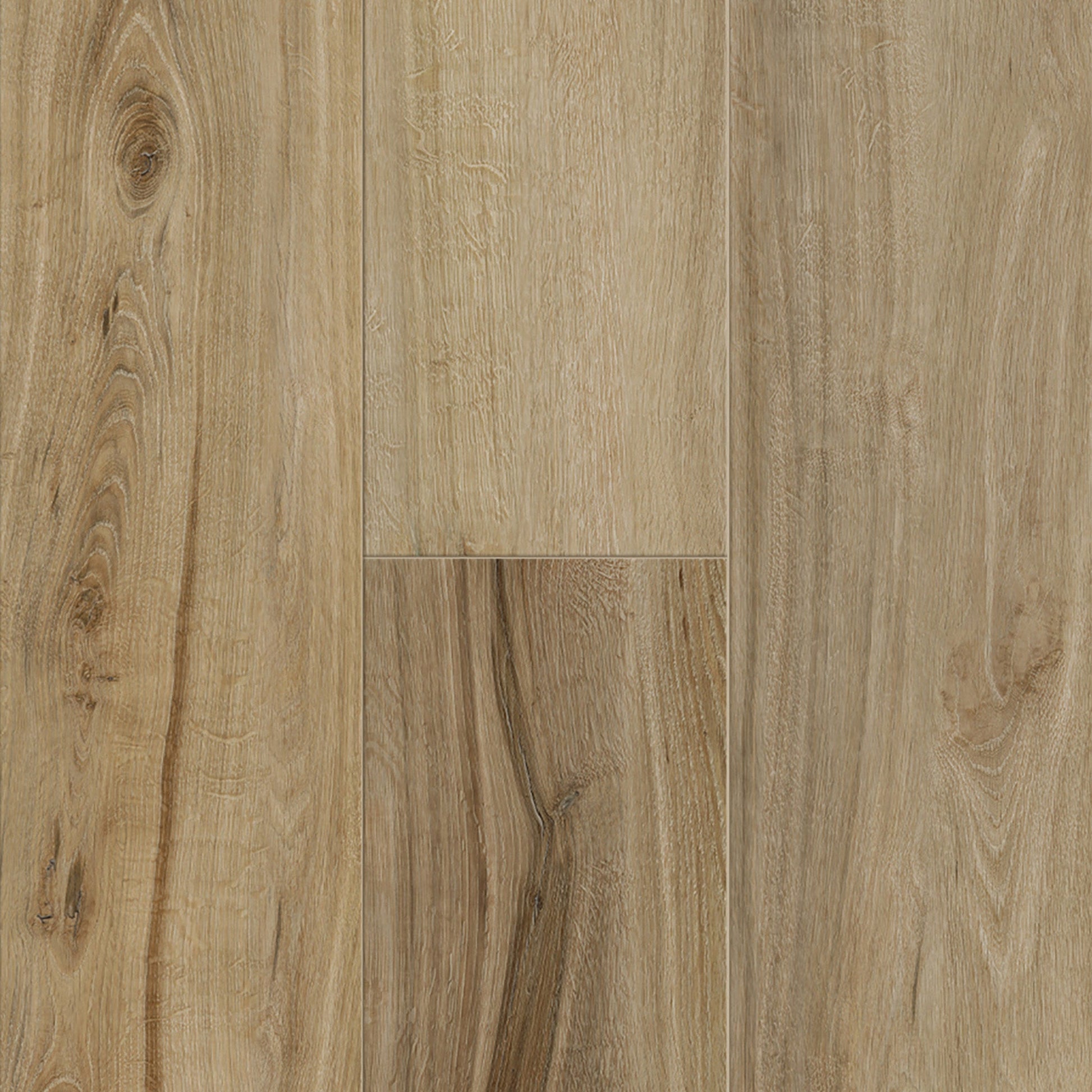 SAMPLE Titan Colossal Tigris 9" - Direct Flooring