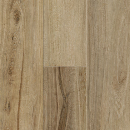 SAMPLE Titan Colossal Tigris 9" - Direct Flooring