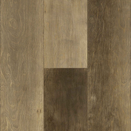 Titan Epic Copper Ridge 7"