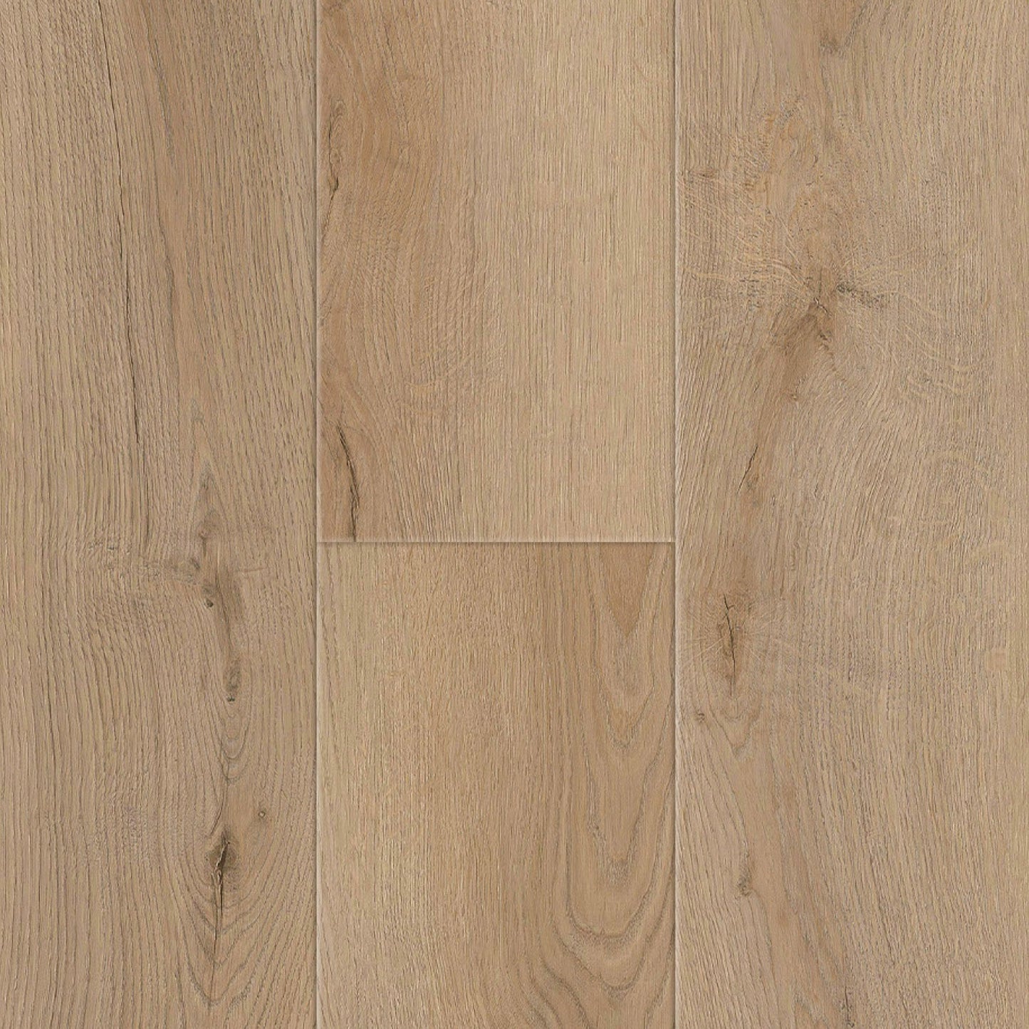 SAMPLE Titan Genesis Monterey Pine 7" - Direct Flooring