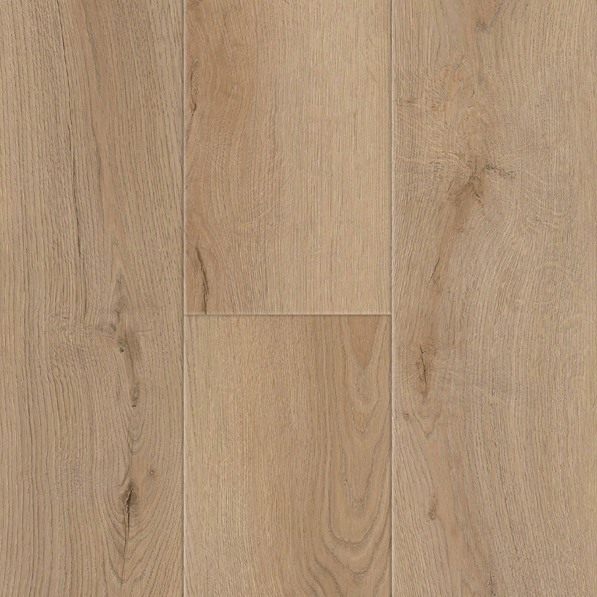 SAMPLE Titan Genesis Monterey Pine 7" - Direct Flooring