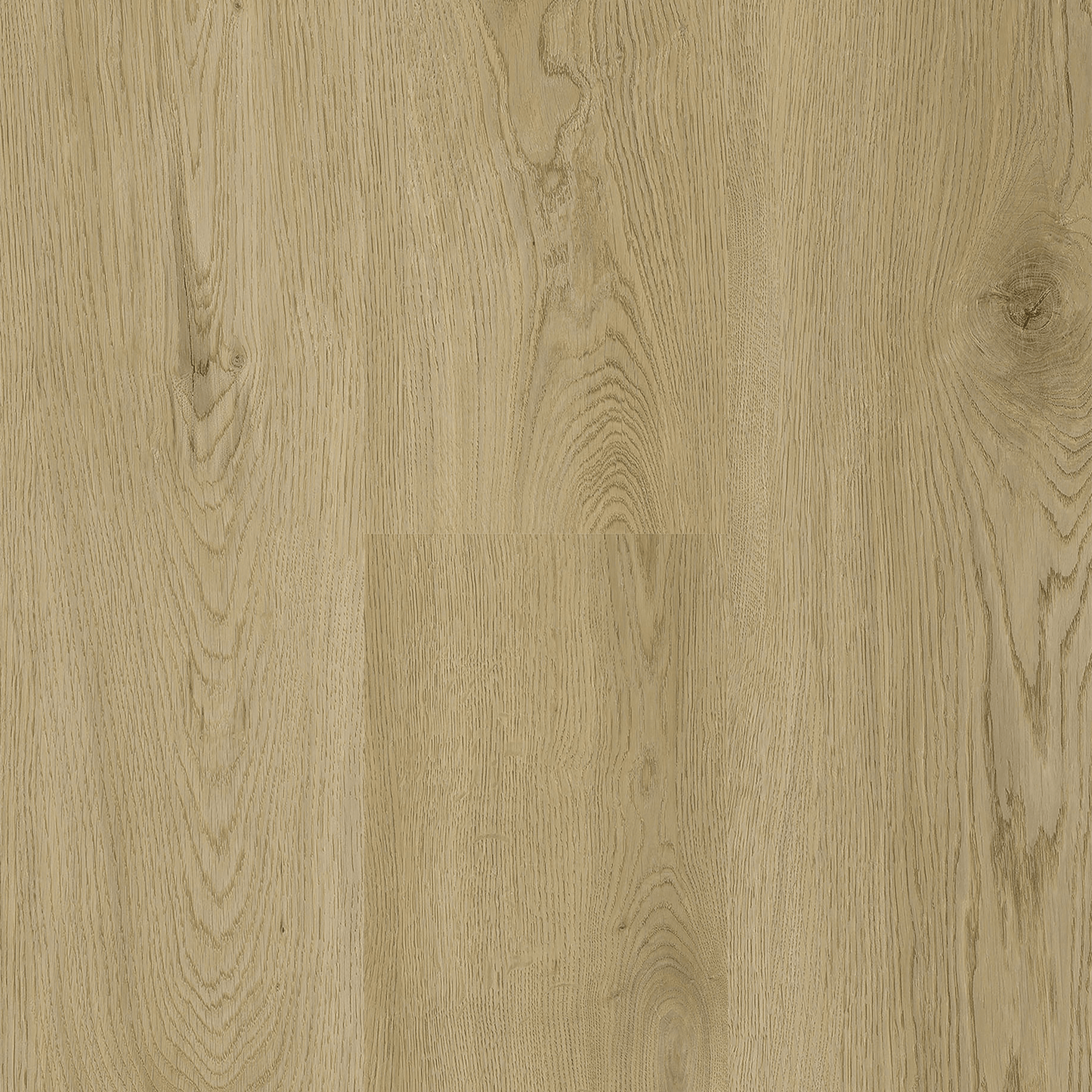 SAMPLE Titan Revival Naples 7" - Direct Flooring