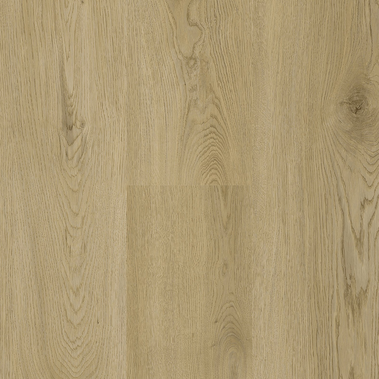SAMPLE Titan Revival Naples 7" - Direct Flooring