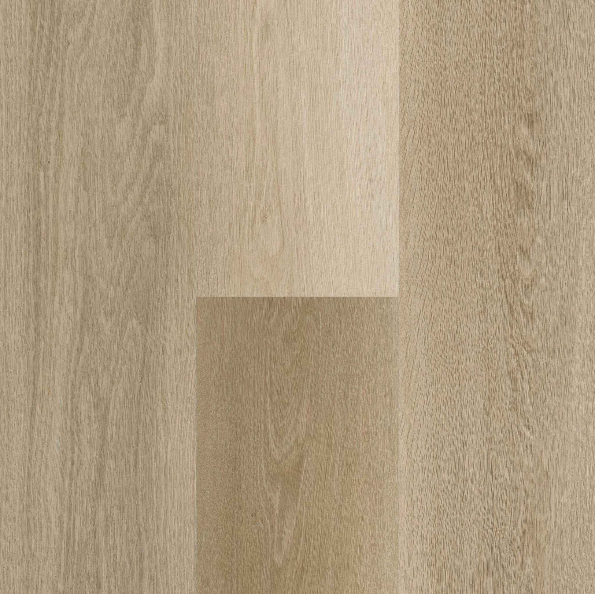 Titan Simplicity Oasis 7"