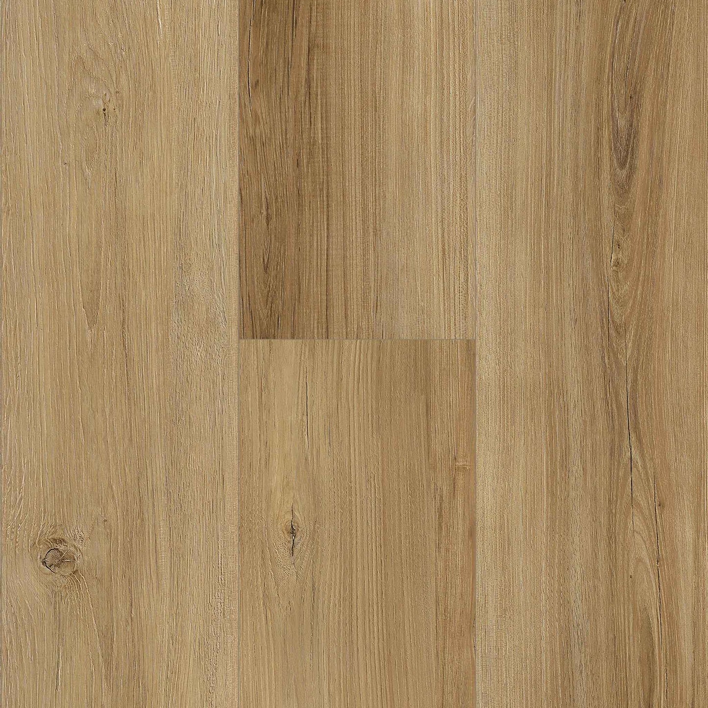 Titan Traditions American Chestnut  7"