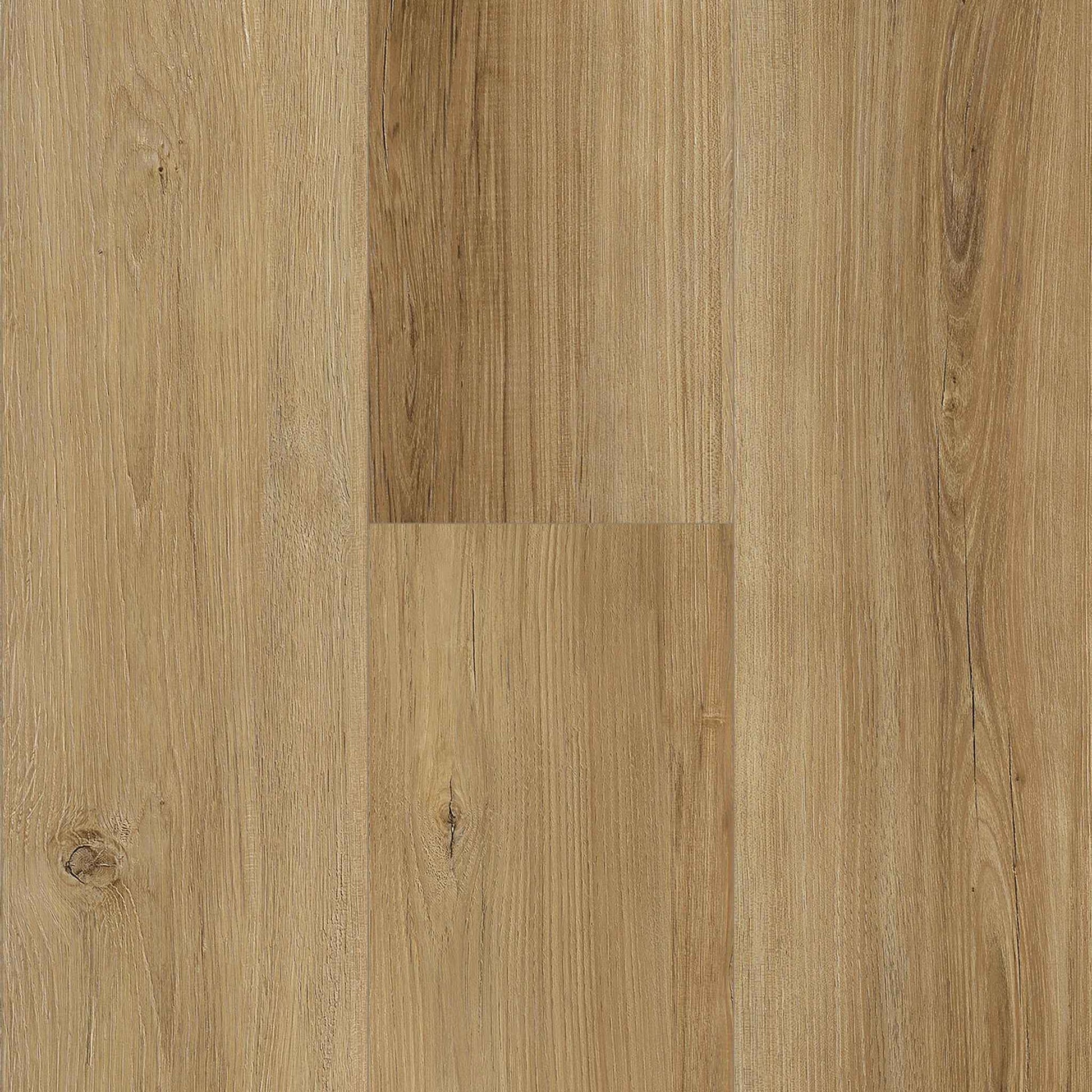 Titan Traditions American Chestnut  7"