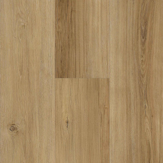 Titan Traditions American Chestnut  7"