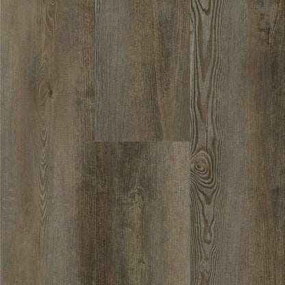 Titan Traditions Sienna Cypress 7"