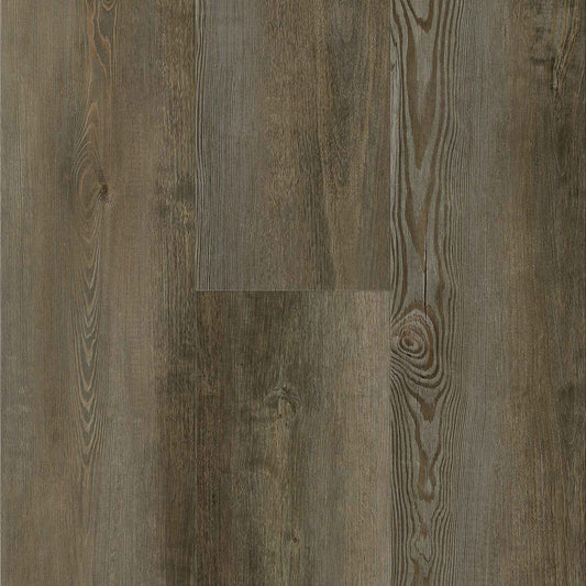 Titan Traditions Sienna Cypress 7"