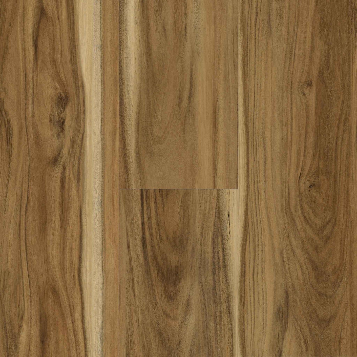 Titan Traditions Small Leaf Acacia 7"