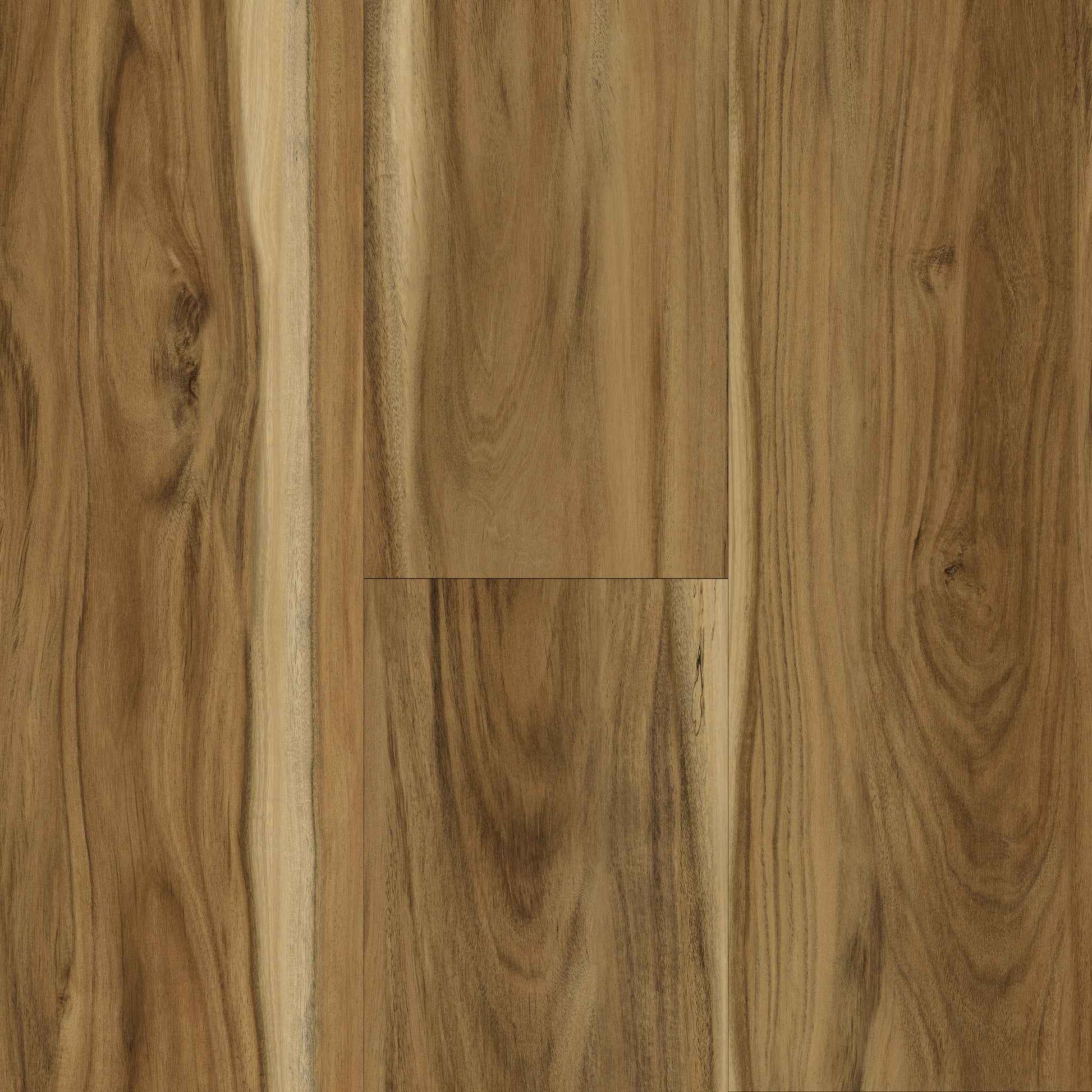 Titan Traditions Small Leaf Acacia 7"