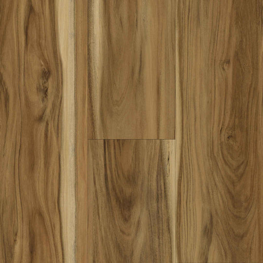 Titan Traditions Small Leaf Acacia 7"